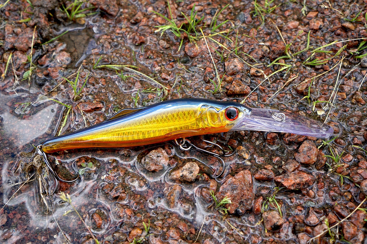 Fishing gear, fishing, nature — Is California a Good Place to Live? An Overview of the Cost of Living and Housing Market