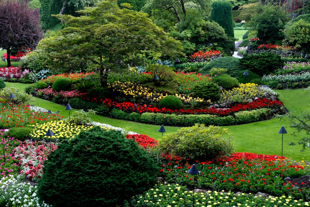 vibrant flower garden with diverse plants and colorful blooms